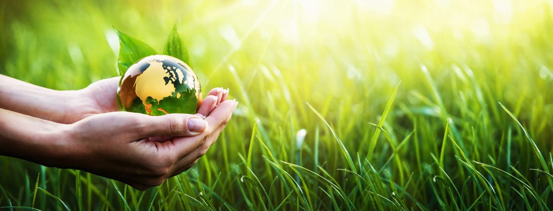 2 Ways LiDar Can Help Businesses Adapt To Climate Change
