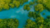 LiDAR services