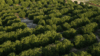 mobile LiDAR mapping